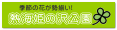 MCP̑